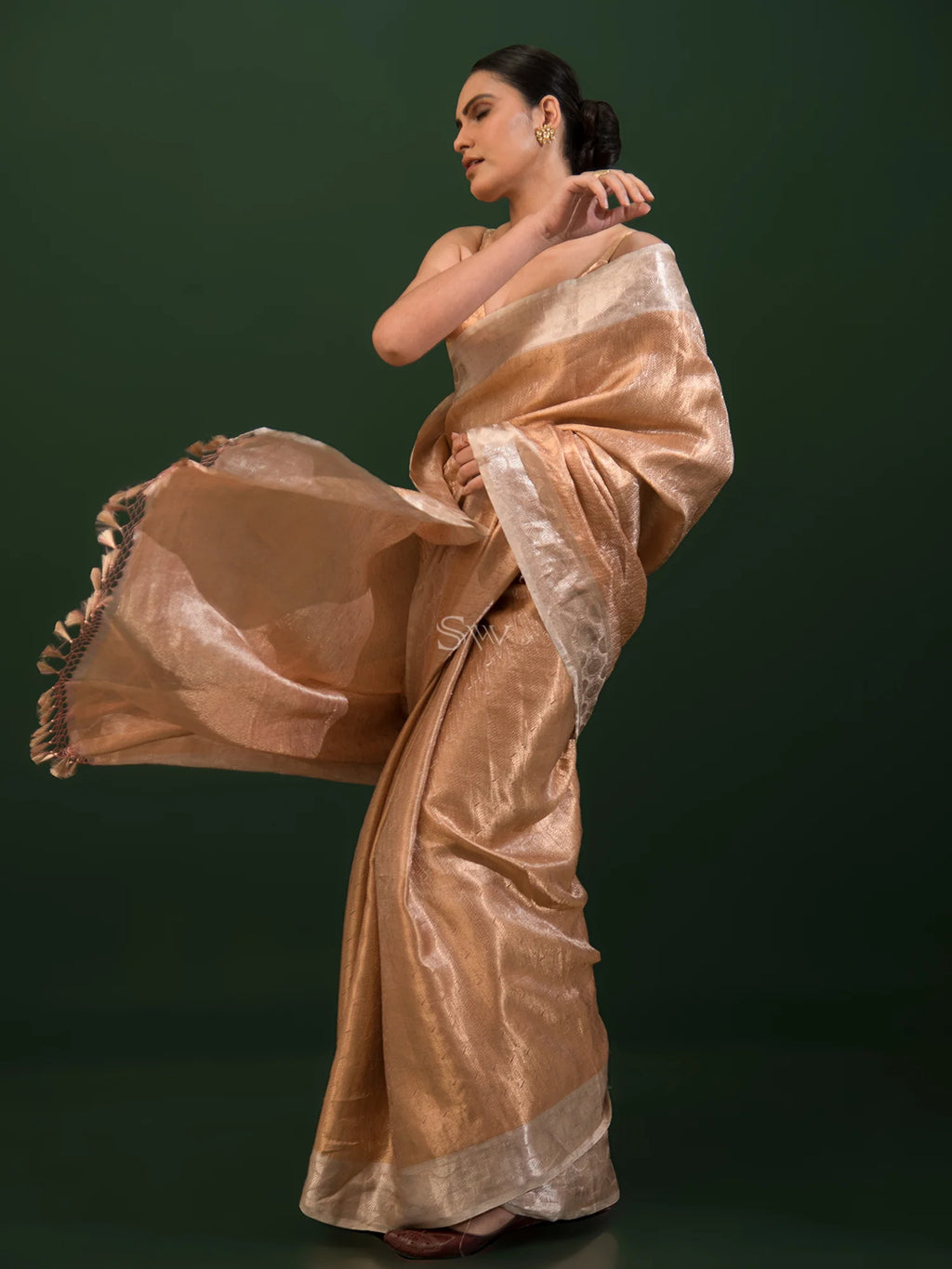 Brown Tissue Brocade Handloom Banarasi Saree