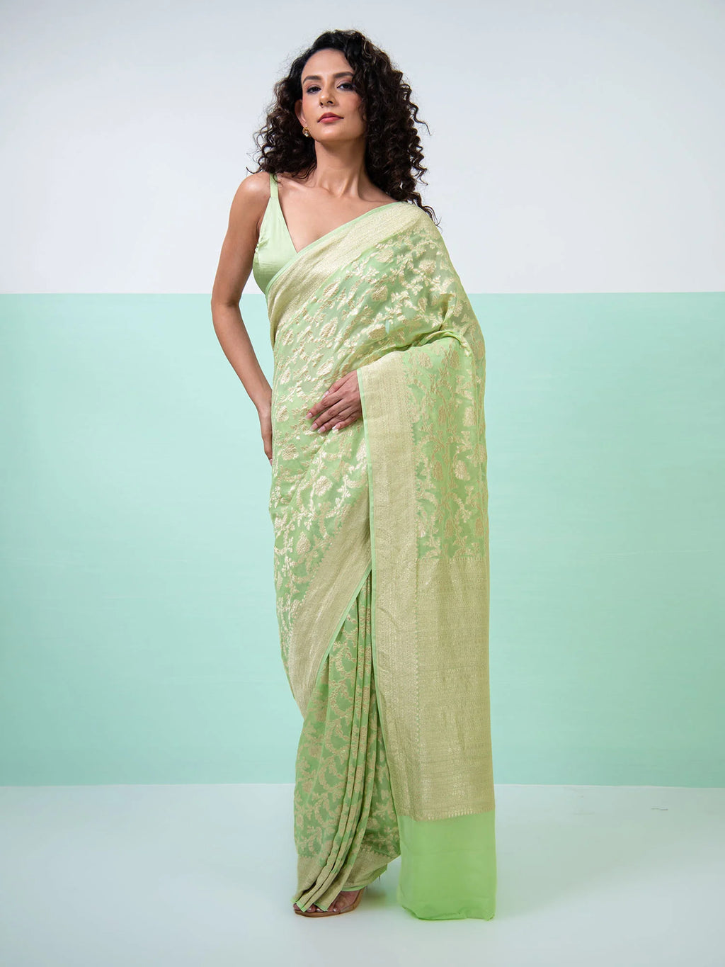 Pista Green Jaal Khaddi Georgette Handloom Banarasi Saree